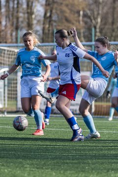 Bild 248 - F Hamburger SV 3 - Blau-Weiss 96 : Ergebnis: 5:1